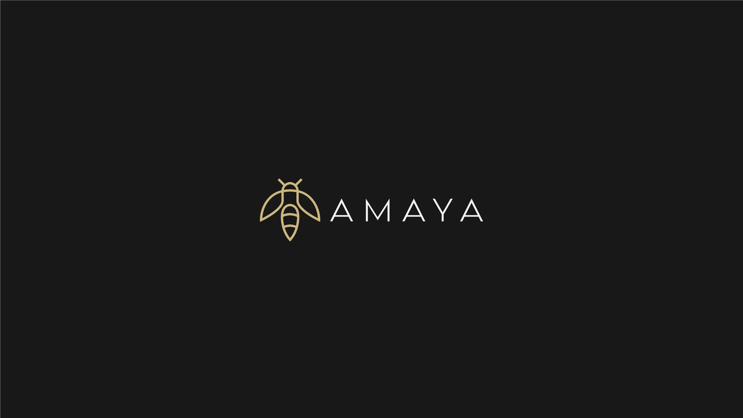 AMAYA brand identity 1
